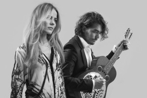 The Netherlands: The Common Linnets