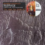15 Bedrock - For what you dream of