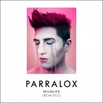 08 Parralox - Somebody II (Remix II)