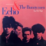 07 Echo and The Bunnymen - Lips Like Sugar (Way Out West Remix)