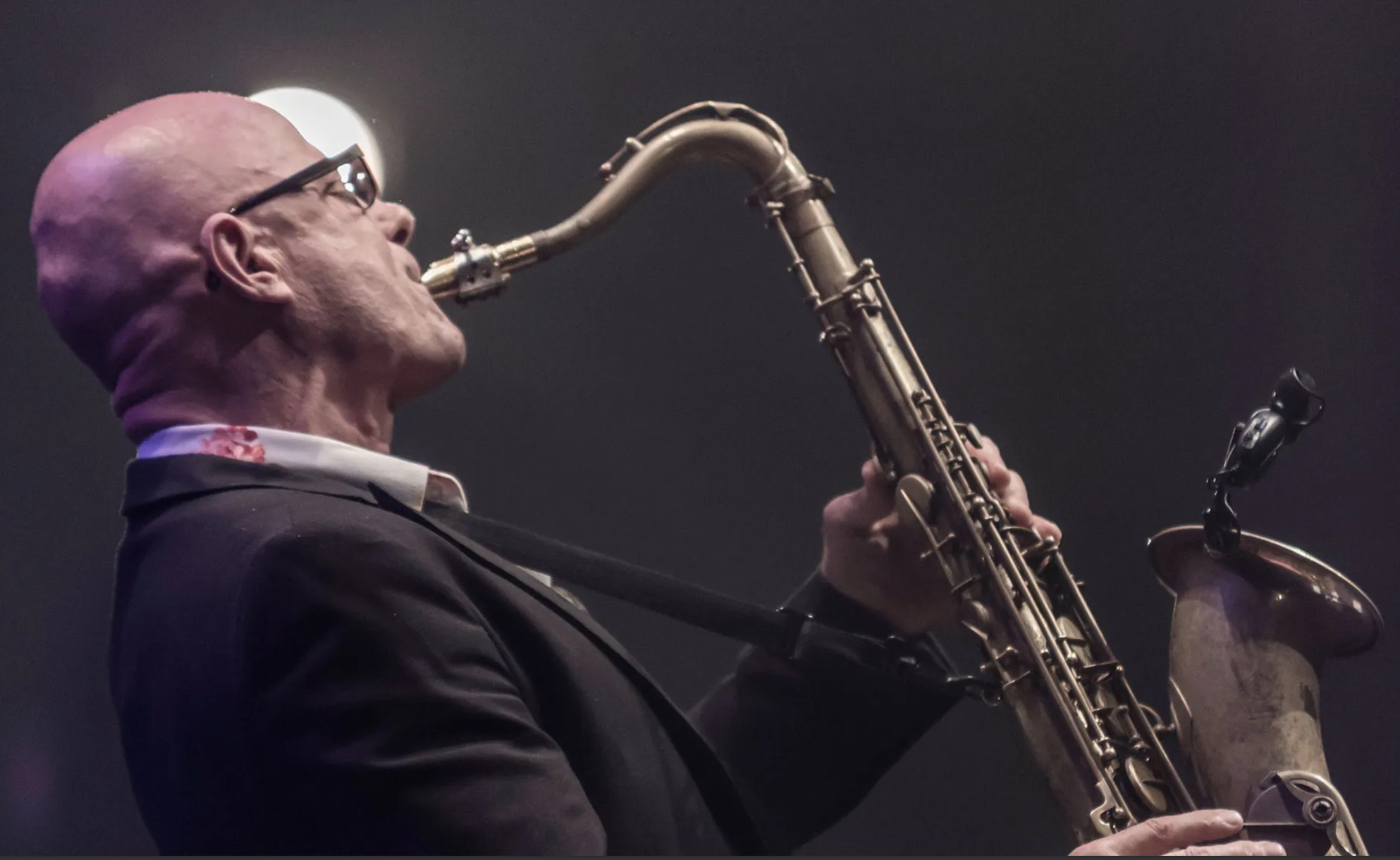 Jason’s Hammerhead Jazz