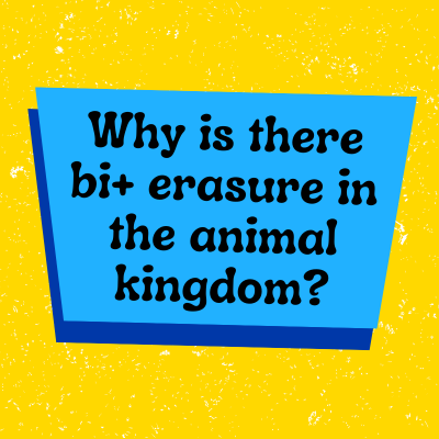 Why is there bi+ erasure in the animal kingdom?