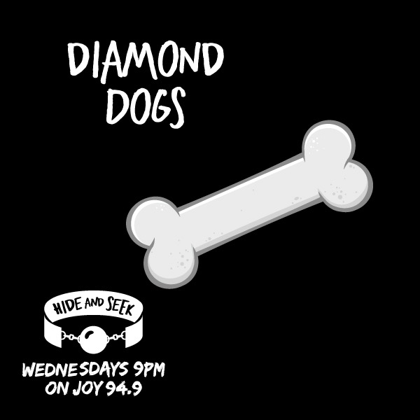 10. “Diamond Dogs” – Pup Play