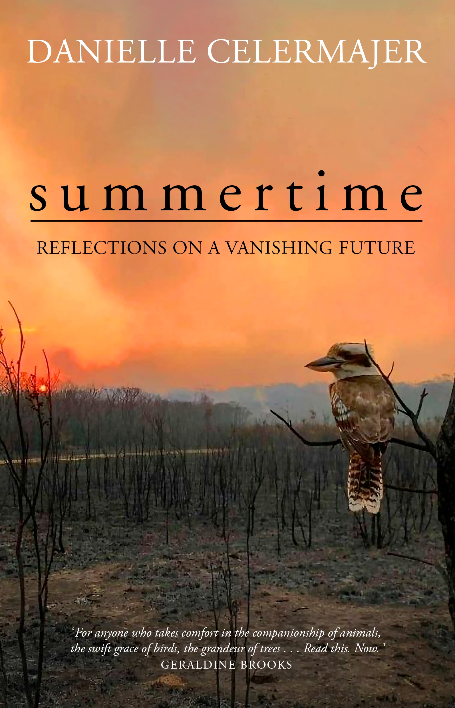 Danielle Celermajer – Summertime: Reflections on a Vanishing Future