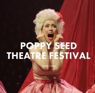 Dusty, Animal, Poppy Seed Theatre Fest, Melb Musical Theatre Fest