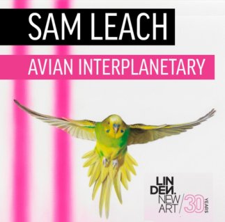 Interview:Artist Sam Leach on his exhibition Avian Interplanetary