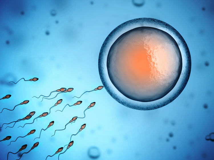 We Need Sperm – Monash IVF