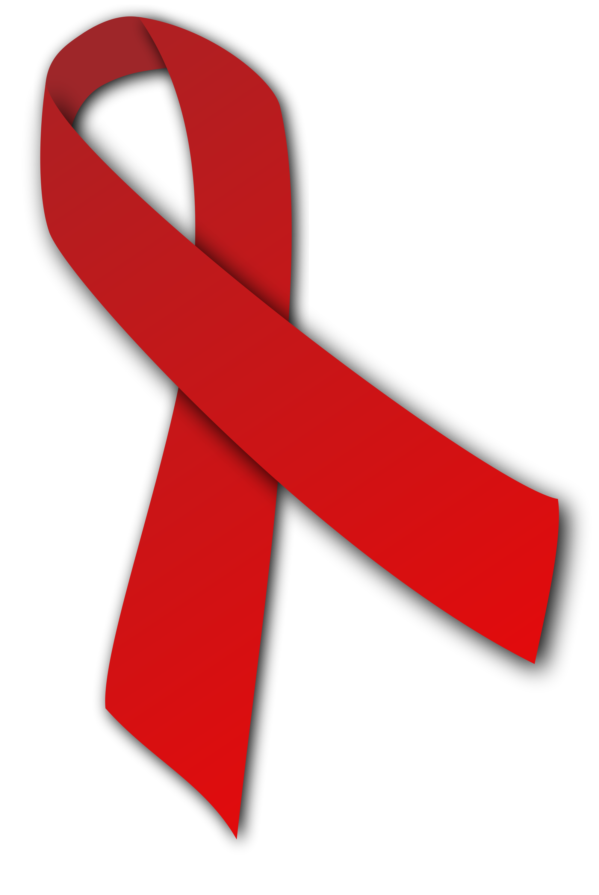 World AIDS Day 2016: Delivering multicultural HIV messages