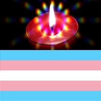 Trans* Day of Remembrance: Thursday 20 November
