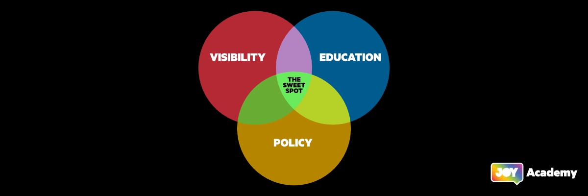 A venn diagram with three circles: visibility, education, and policy. At the centre of those three is a section marked "the sweet spot".
